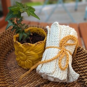 Simple Cream Spa or Dish Cloths